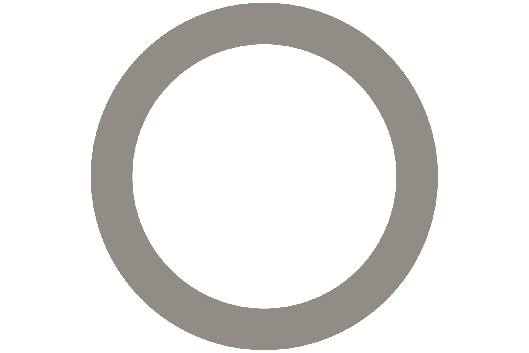 Cummins Spring Washer - 205363