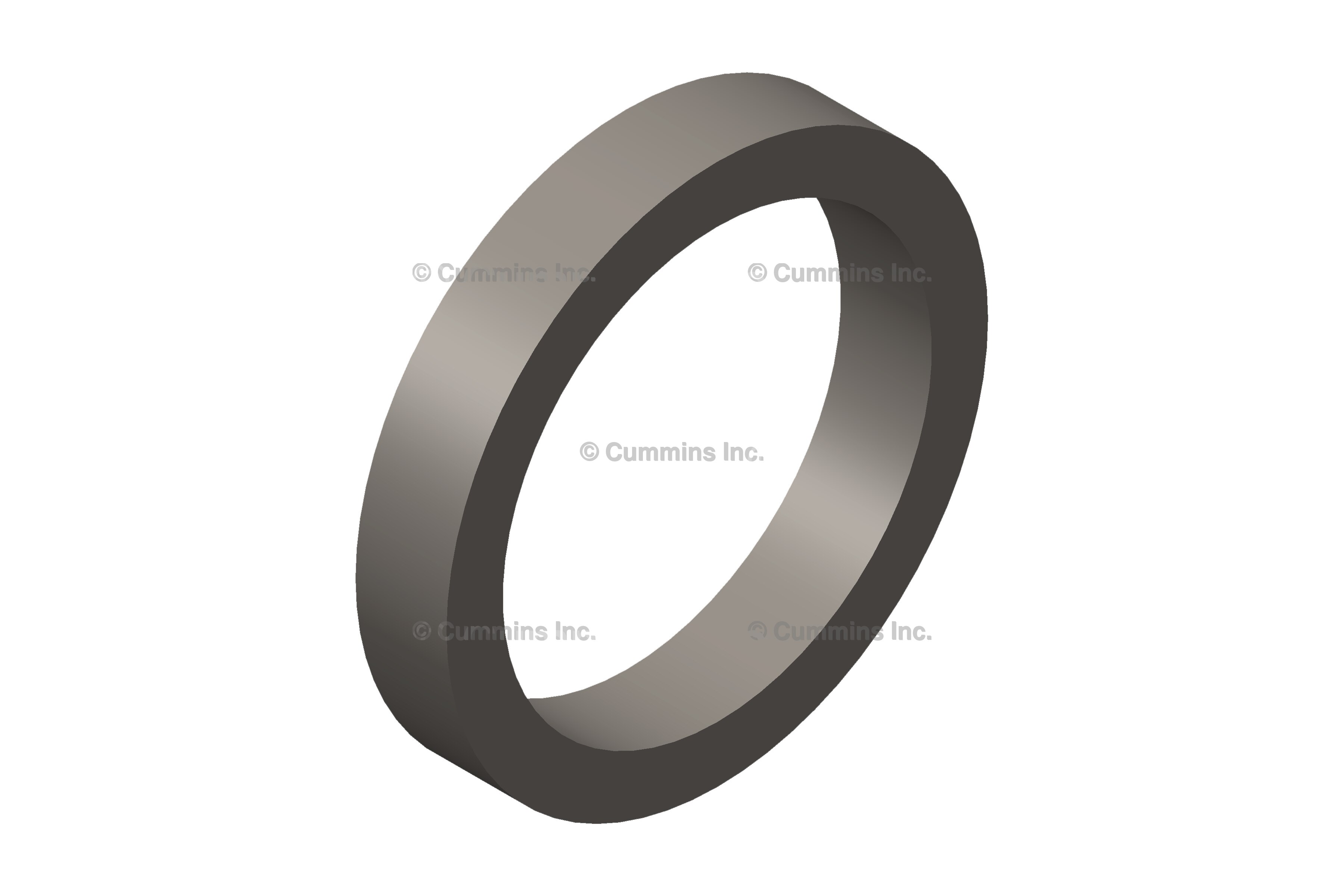 SEAL,RECTANGULAR RING